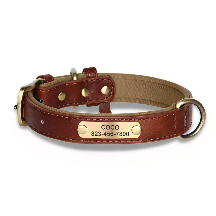 Engraved Leather Dog Collar with Personalized Nameplate