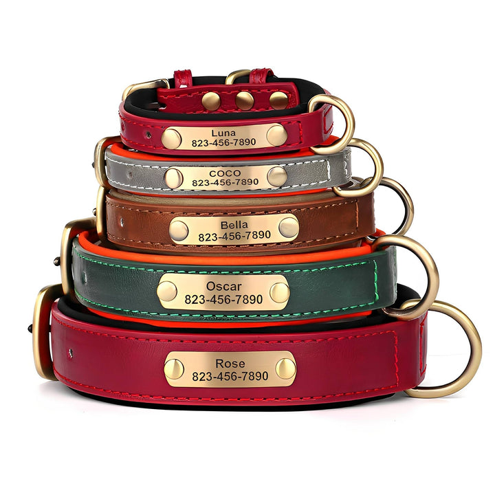 Engraved Leather Dog Collar with Personalized Nameplate