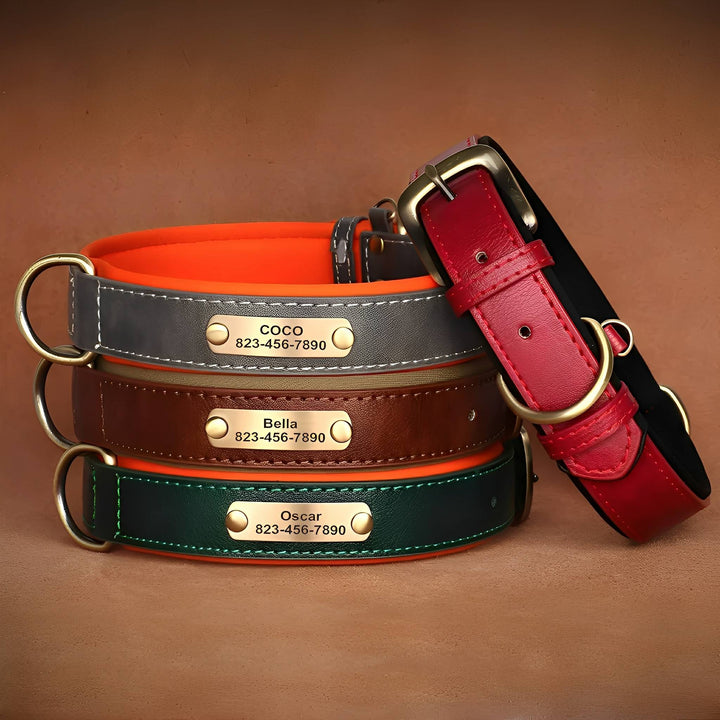 Engraved Leather Dog Collar with Personalized Nameplate