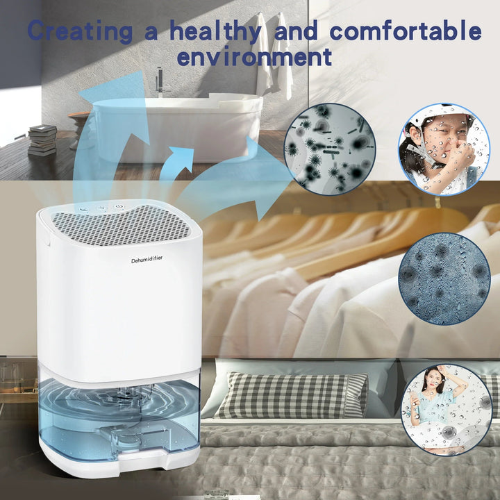 Portable Dehumidifier with Drain Hose for Basement Crawl Space and Air Purifier 1000ml