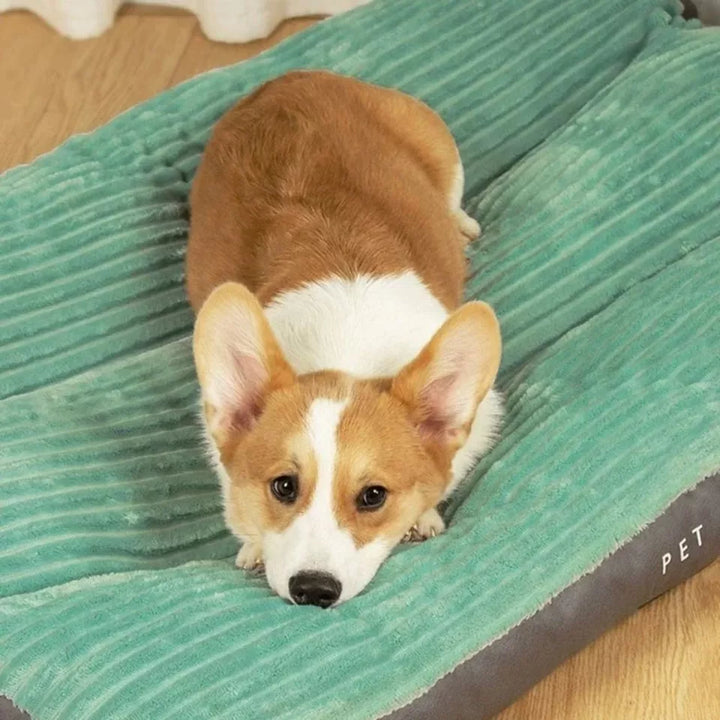 Orthopedic Dog Bed with Removable Cover - SnuggleRest