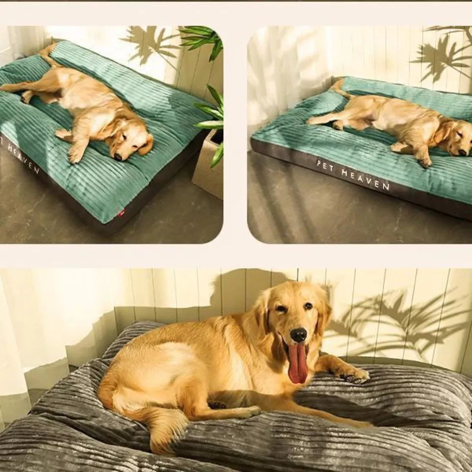 Orthopedic Dog Bed with Removable Cover - SnuggleRest