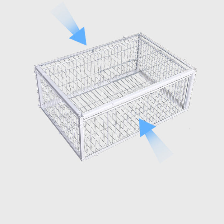 Gentle Bird Trap with Anti-Return Mechanism – BirdSafe Trap