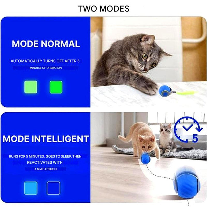 Interactive Cat Ball Toy – Self-Moving Rolling Play Sphere