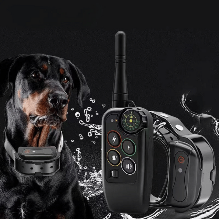 Waterproof Dog Training Collar and Shock with Remote Control and E-Collar Receiver E